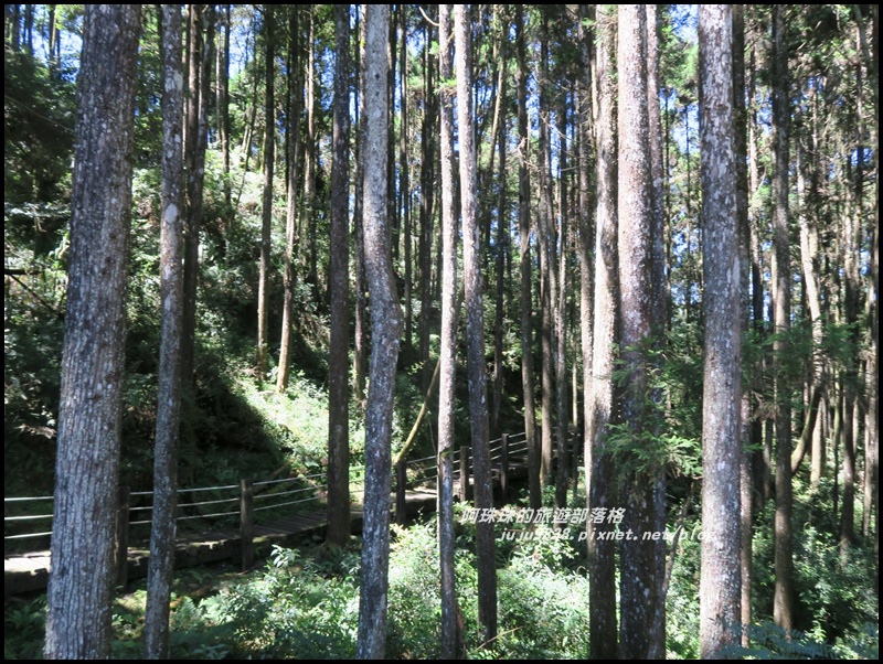 杉林溪63.JPG 杉林溪63.JPG