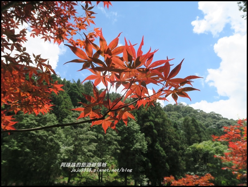 杉林溪71.JPG 杉林溪71.JPG