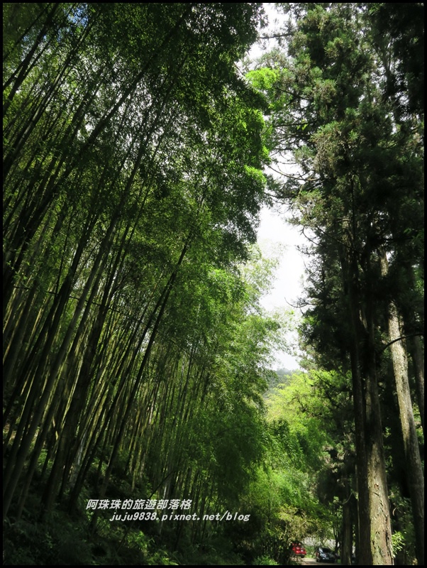 杉林溪70.JPG 杉林溪70.JPG