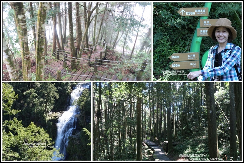 杉林溪75 杉林溪75