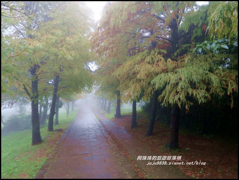 冷水坑絹絲瀑布13.JPG 冷水坑絹絲瀑布13.JPG