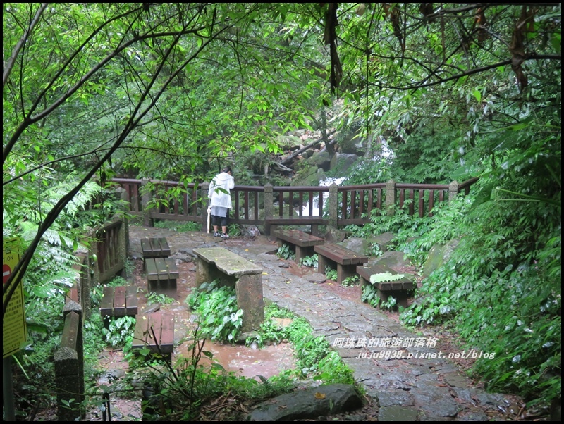 冷水坑絹絲瀑布33.JPG
