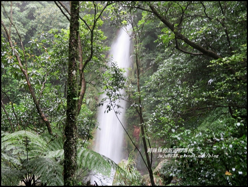 冷水坑絹絲瀑布36.JPG