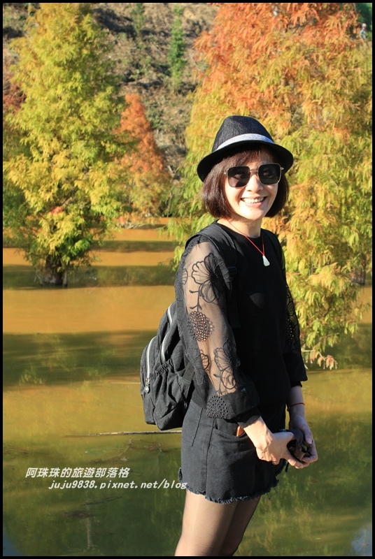 三灣落羽松12.JPG 三灣落羽松12.JPG