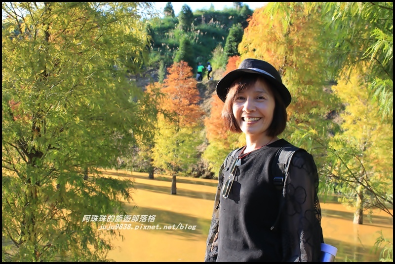 三灣落羽松18.JPG 三灣落羽松18.JPG