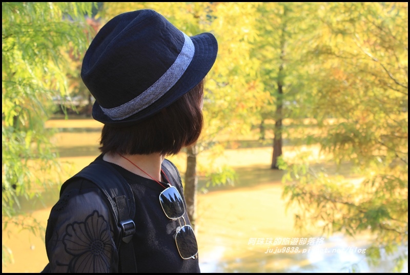 三灣落羽松25.JPG 三灣落羽松25.JPG