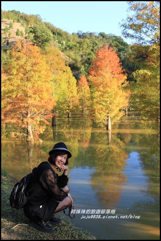 三灣落羽松28.JPG 三灣落羽松28.JPG