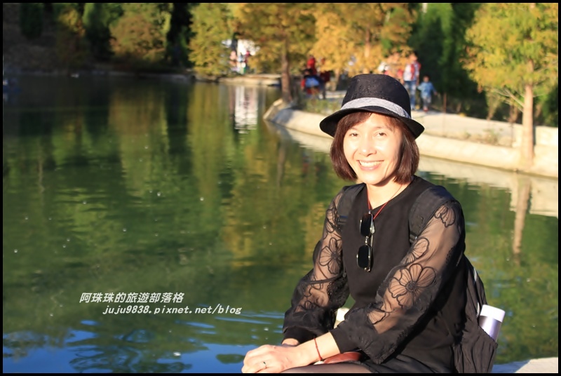 三灣落羽松36.JPG 三灣落羽松36.JPG