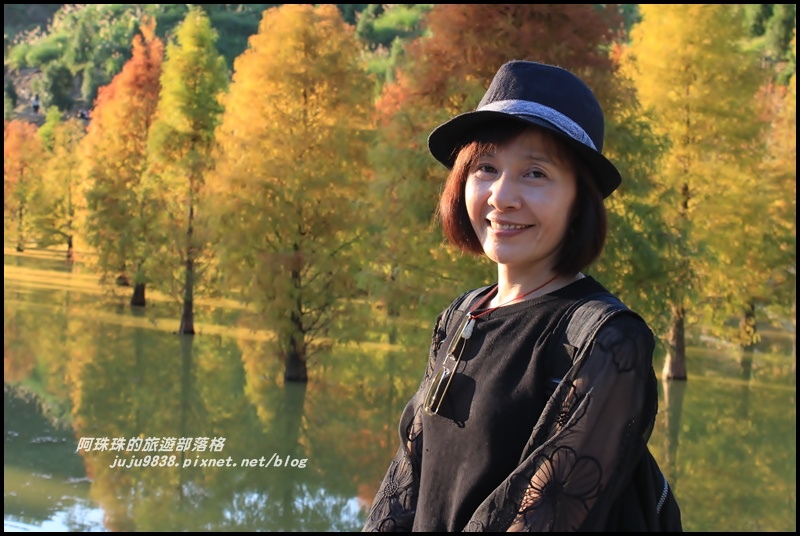 三灣落羽松40.JPG 三灣落羽松40.JPG