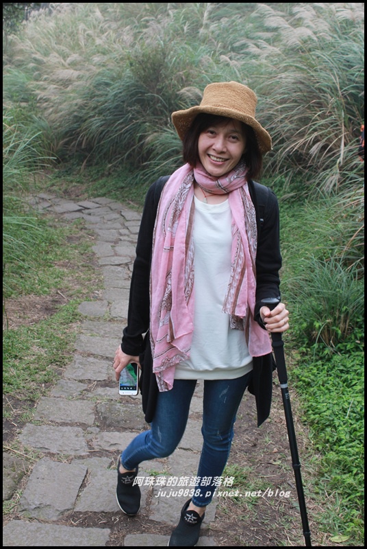 七星山東峰2.JPG 七星山東峰2.JPG