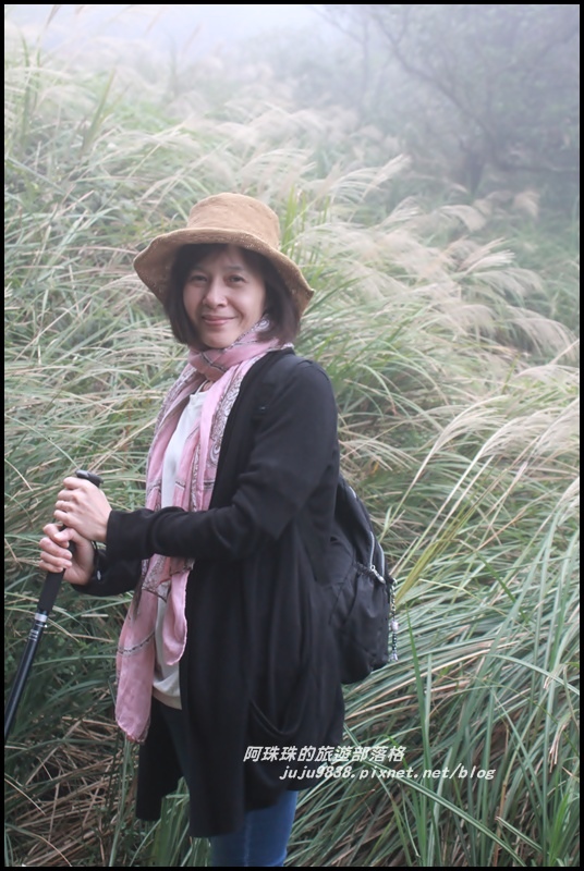 七星山東峰4.JPG 七星山東峰4.JPG