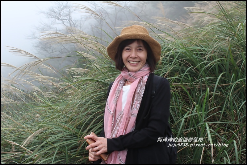 七星山東峰7.JPG 七星山東峰7.JPG