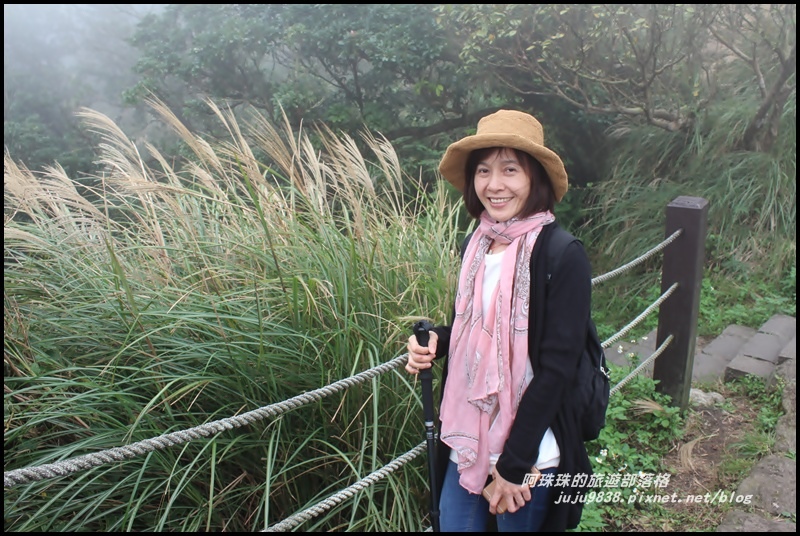 七星山東峰6.JPG 七星山東峰6.JPG