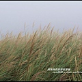 七星山東峰11.JPG