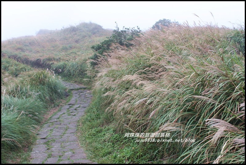 七星山東峰18.JPG 七星山東峰18.JPG