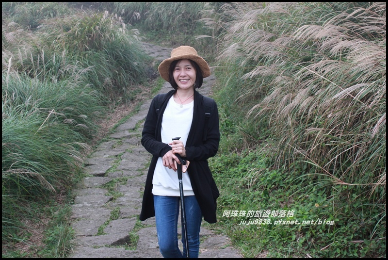 七星山東峰20.JPG 七星山東峰20.JPG