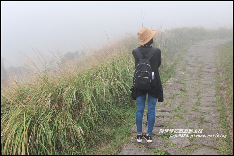 七星山東峰23.JPG 七星山東峰23.JPG