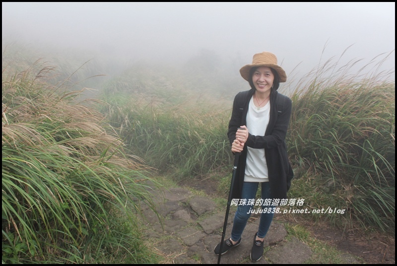 七星山東峰25.JPG 七星山東峰25.JPG