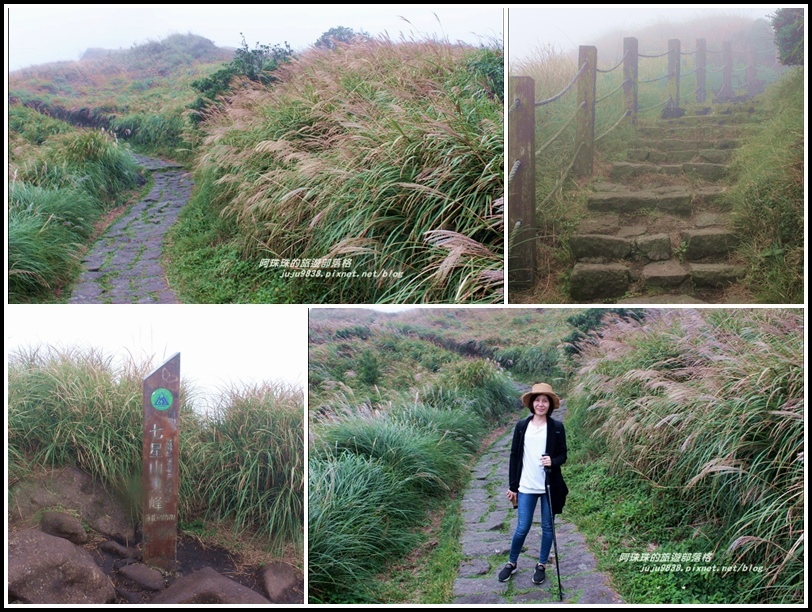 七星山東峰26.jpg 七星山東峰26.jpg