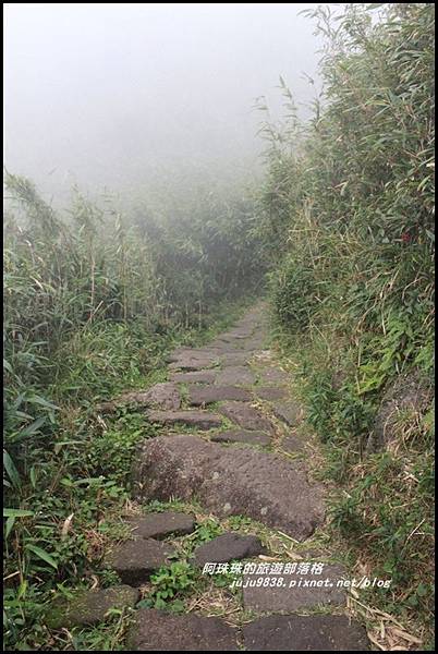 七星山東峰27.JPG