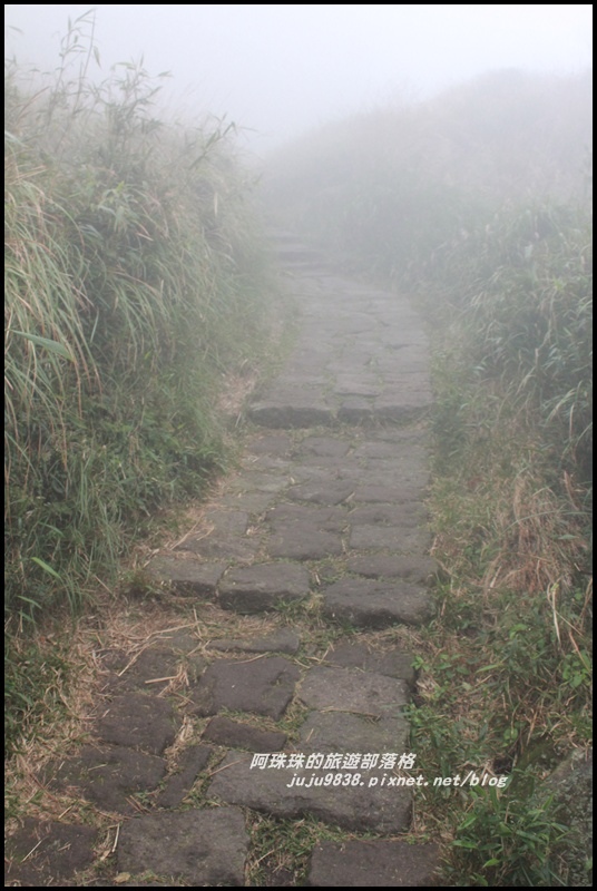 七星山東峰28.JPG