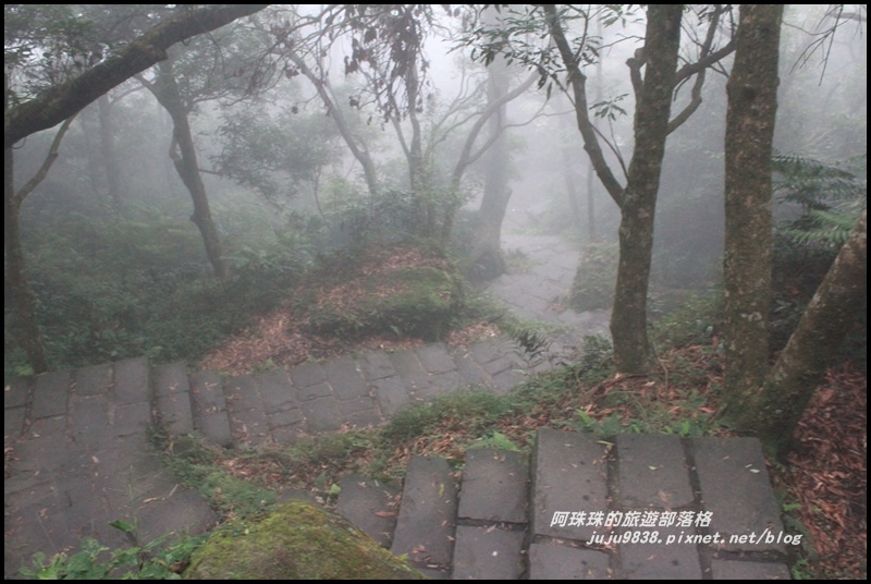 七星山東峰30.JPG 七星山東峰30.JPG