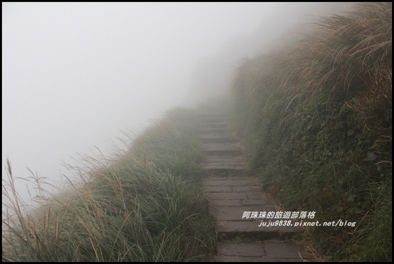 七星山東峰33.JPG 七星山東峰33.JPG