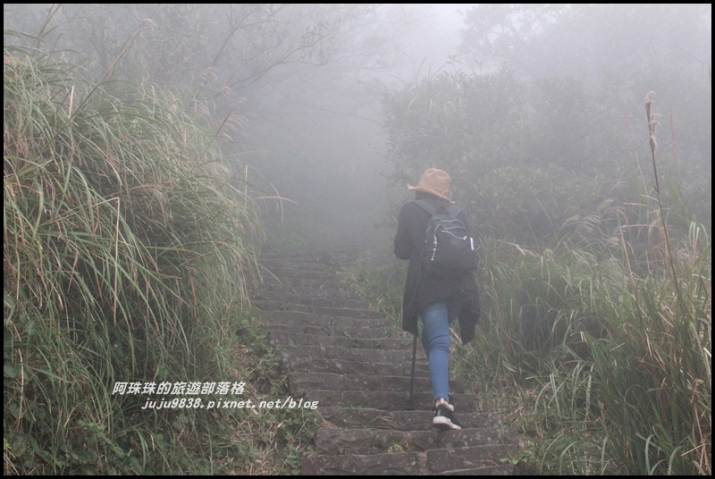 七星山東峰32.JPG 七星山東峰32.JPG