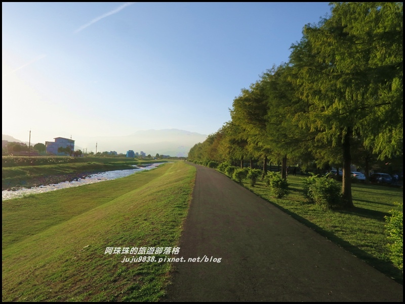 安農溪落羽松1.JPG 安農溪落羽松1.JPG