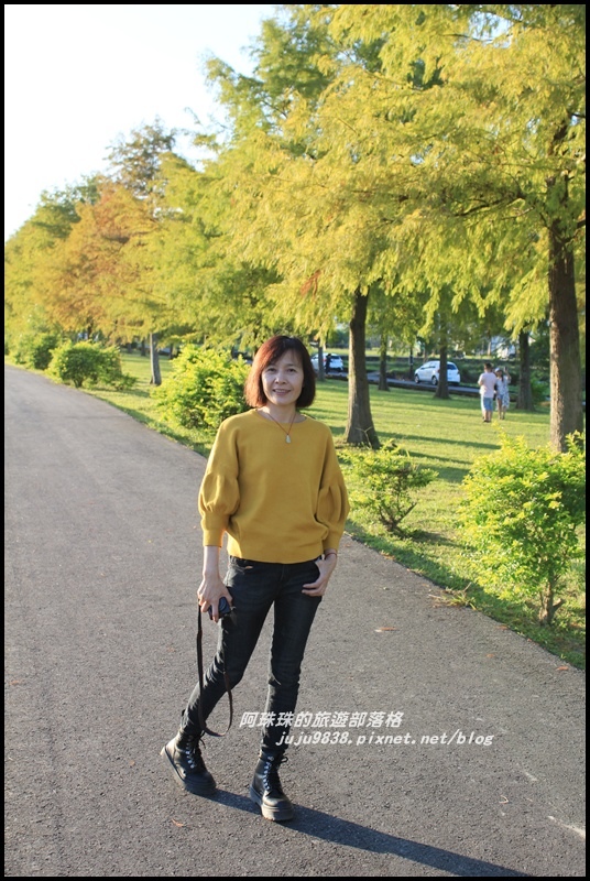 安農溪落羽松21.JPG 安農溪落羽松21.JPG