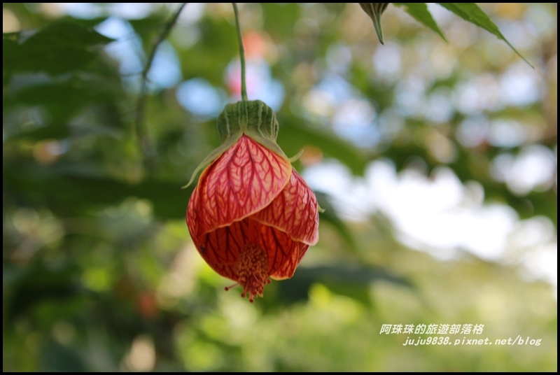 沐心泉1.JPG 沐心泉1.JPG