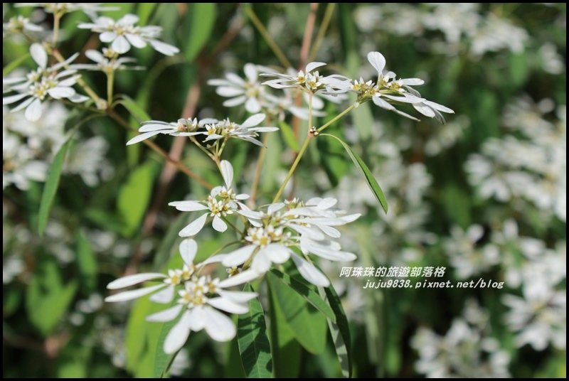 沐心泉3.JPG 沐心泉3.JPG