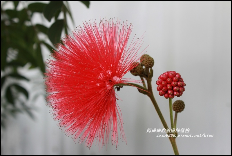 沐心泉2.JPG 沐心泉2.JPG