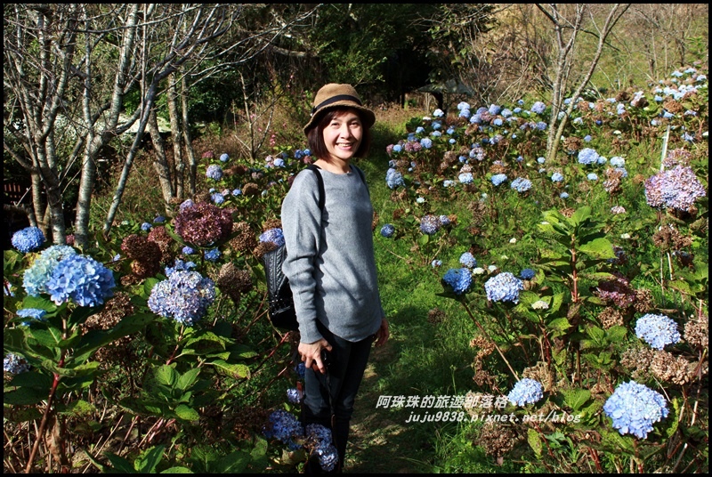 沐心泉4.JPG 沐心泉4.JPG