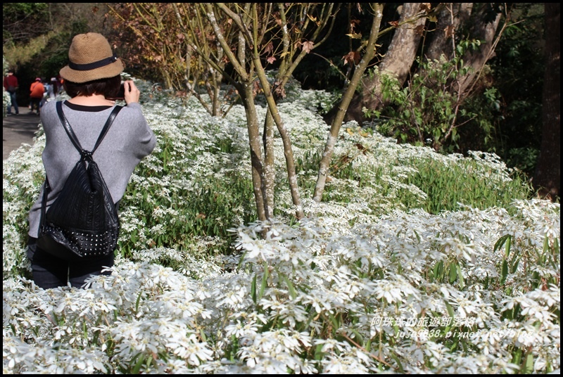 沐心泉5.JPG 沐心泉5.JPG