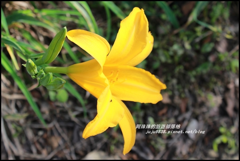 沐心泉7.JPG 沐心泉7.JPG