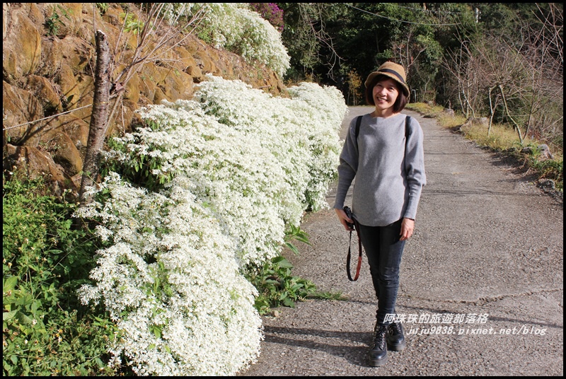 沐心泉11.JPG 沐心泉11.JPG