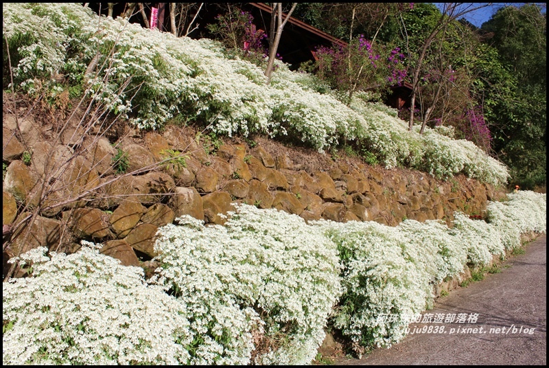 沐心泉12.JPG 沐心泉12.JPG