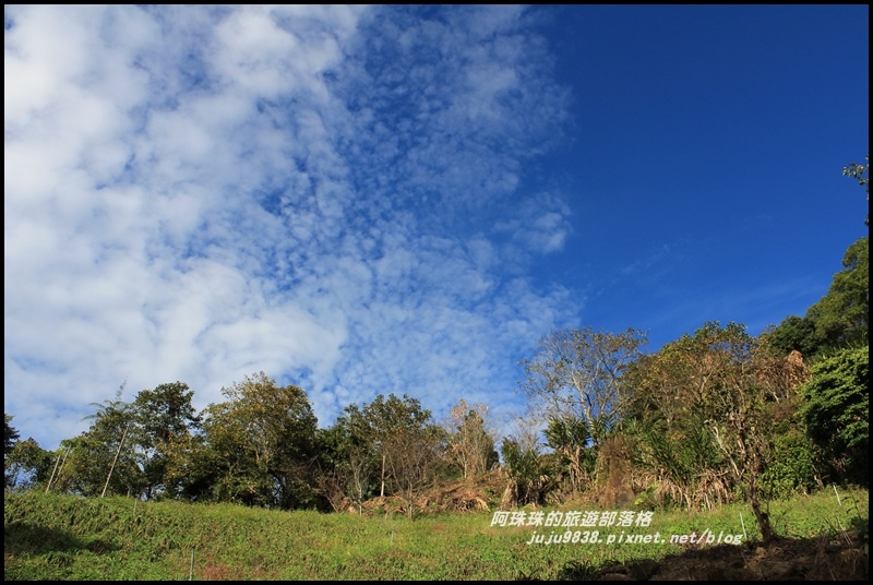 沐心泉15.JPG 沐心泉15.JPG