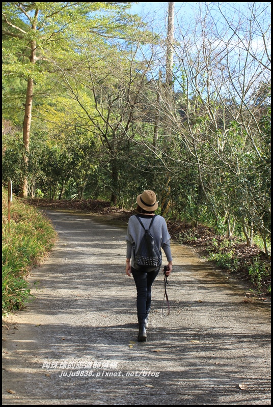 沐心泉16.JPG 沐心泉16.JPG