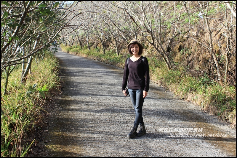 沐心泉18.JPG 沐心泉18.JPG