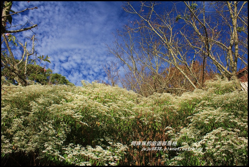 沐心泉19.JPG 沐心泉19.JPG