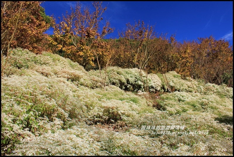 沐心泉21.JPG