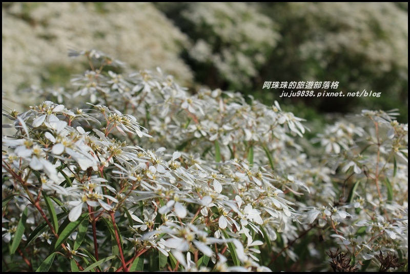 沐心泉22.JPG 沐心泉22.JPG