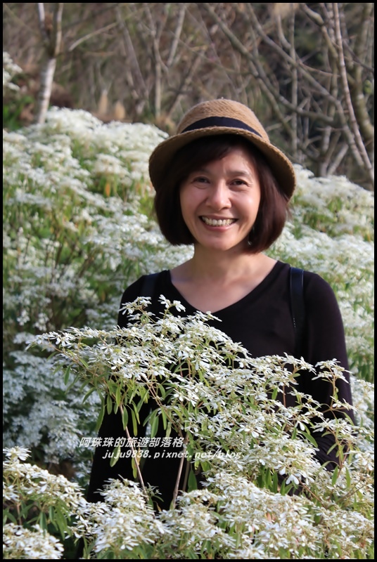 沐心泉23.JPG 沐心泉23.JPG