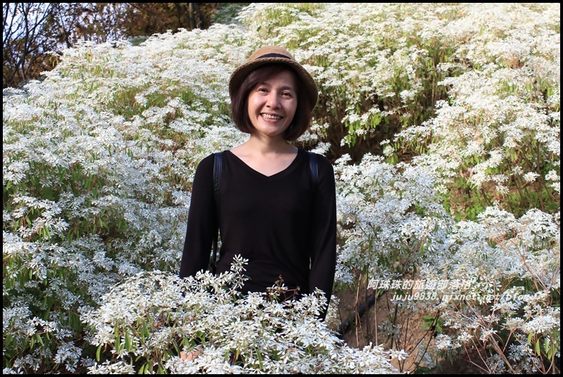 沐心泉24.JPG 沐心泉24.JPG