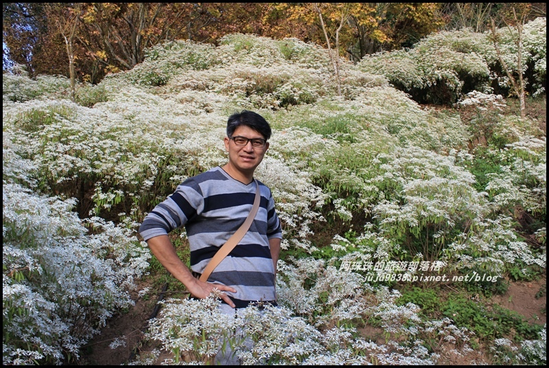 沐心泉25.JPG 沐心泉25.JPG