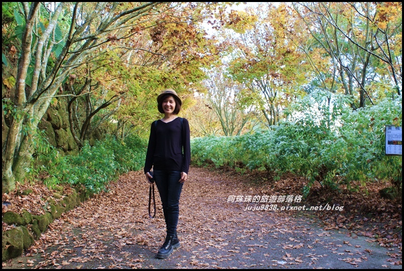 沐心泉27.JPG 沐心泉27.JPG