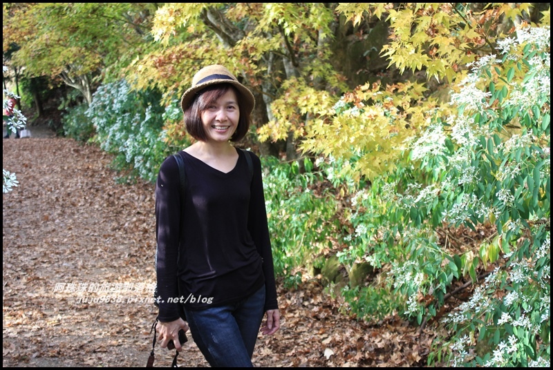 沐心泉31.JPG 沐心泉31.JPG