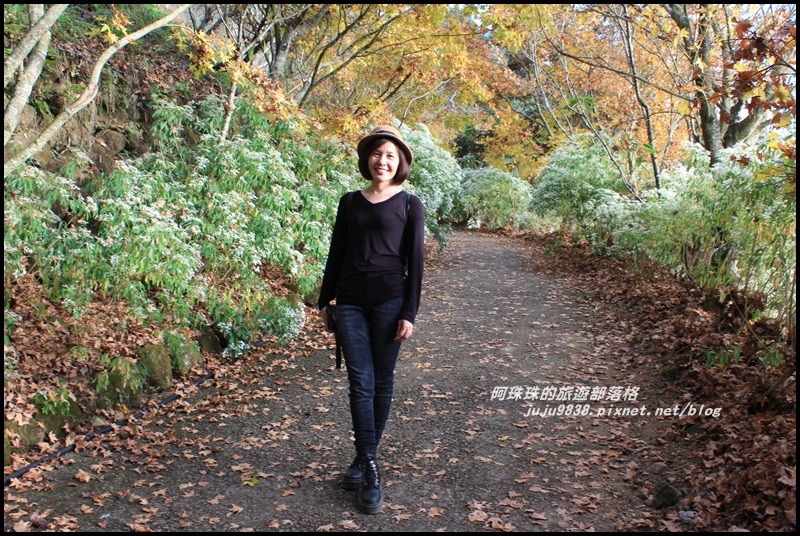 沐心泉33.JPG 沐心泉33.JPG